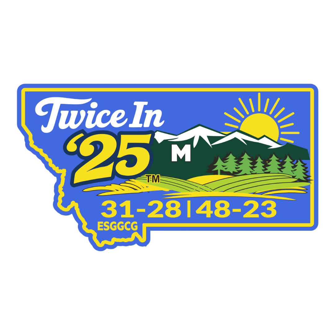 Twice In '25 Vinyl Sticker
